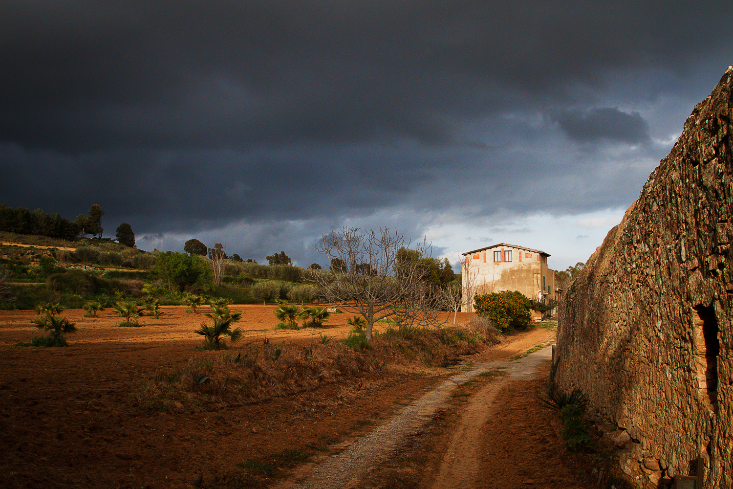 Fotografia di Francesco Nicosia