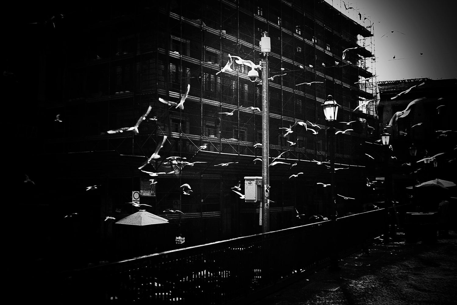 Fotografia di Francesco Nicosia