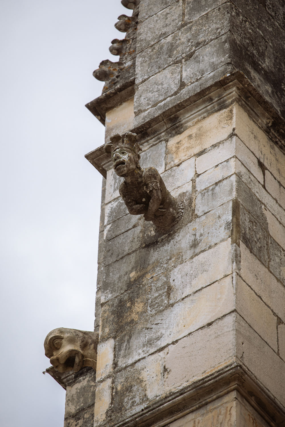 Fotografia di Francesco Nicosia